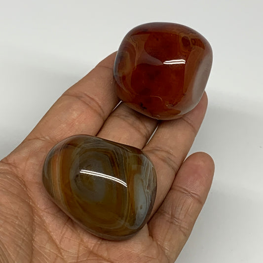 141.9g, 1.5"-1.7", 2pcs, Sardonyx Palm-Stone Gem Crystal Polished Reiki, B26495