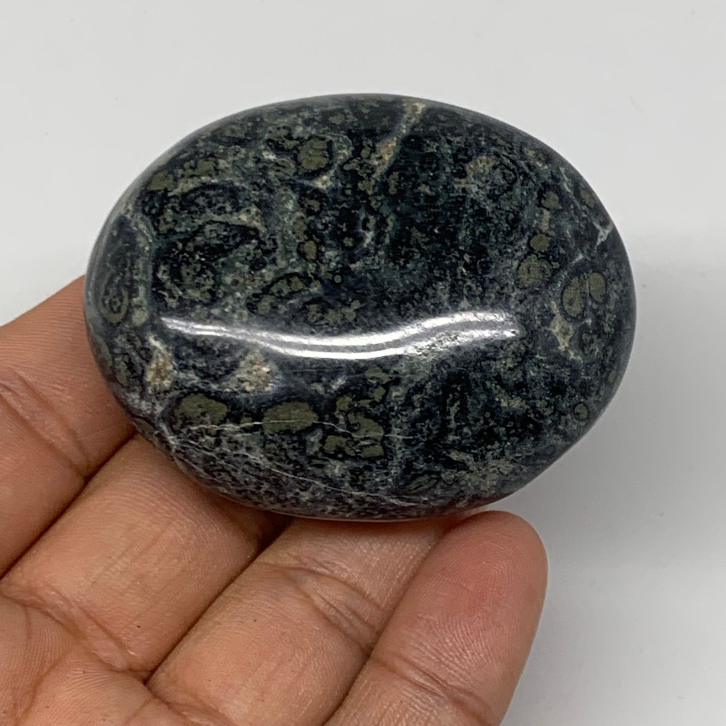 95.2g, 2.2"x1.8"x1", Kambaba Jasper Palm-Stone Reiki @Madagascar,B10422