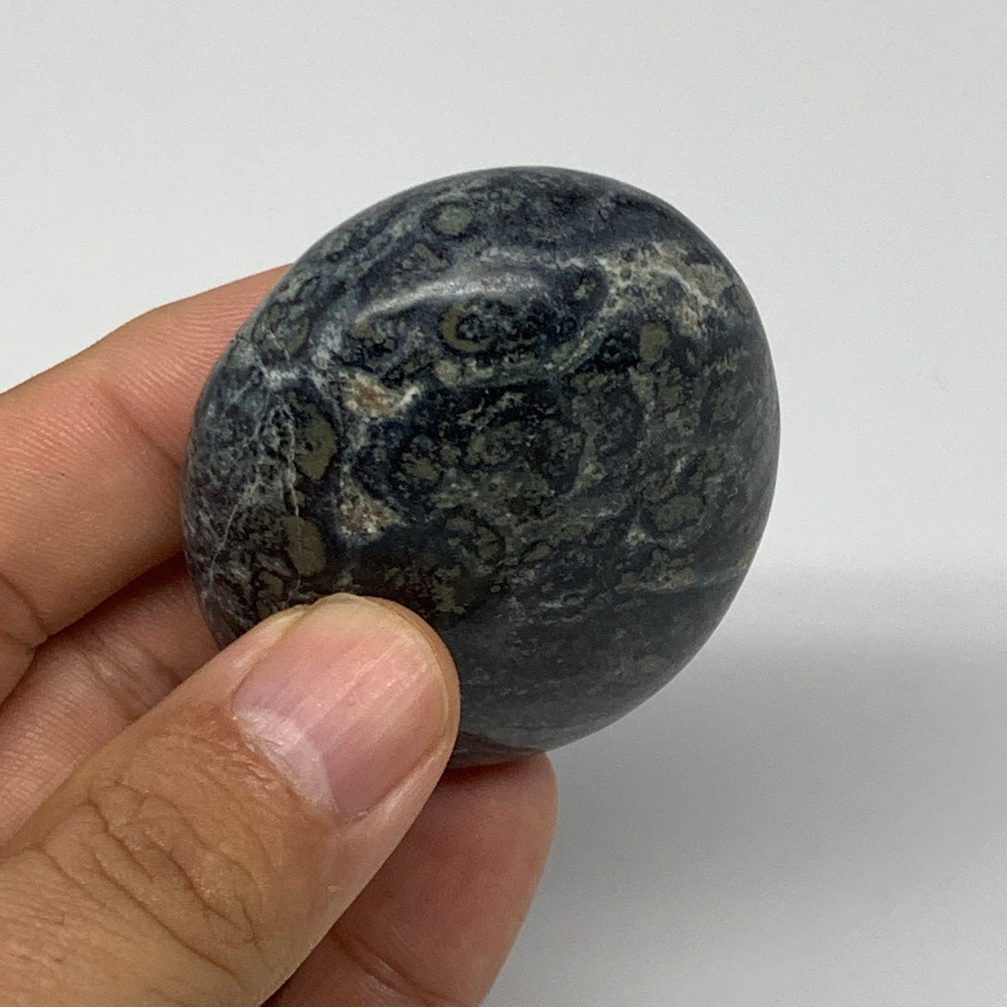 95.2g, 2.2"x1.8"x1", Kambaba Jasper Palm-Stone Reiki @Madagascar,B10422