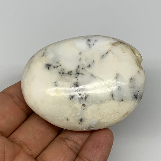 102.6g, 2.6"x2.1"x1" Dendrite Fern Agate Palm-Stone Reiki Energy Crystal Reiki,