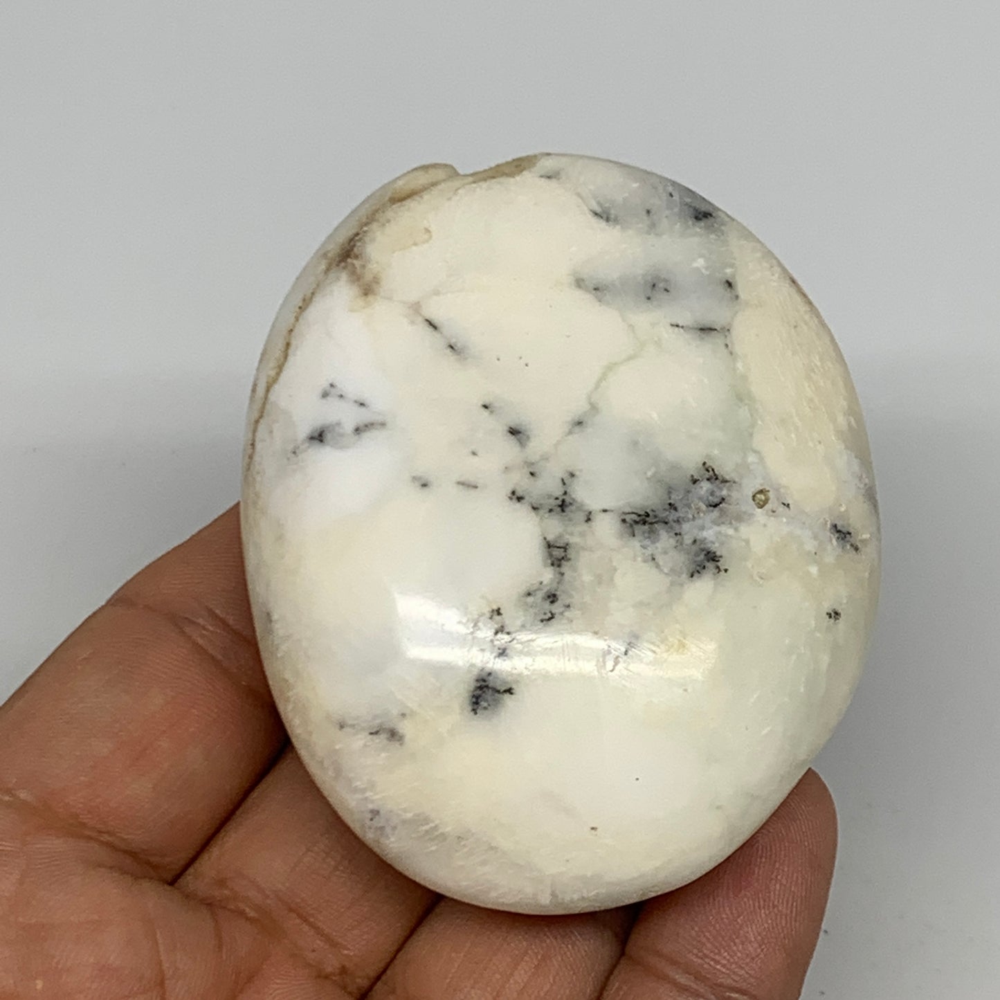 102.6g, 2.6"x2.1"x1" Dendrite Fern Agate Palm-Stone Reiki Energy Crystal Reiki,