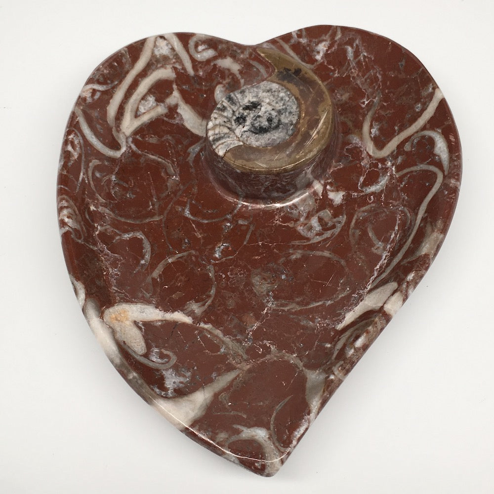 2pcs,6.25"x5.2" Ammonite Fossils Heart Plates Dishes Red Marble @Morocco,MF1356