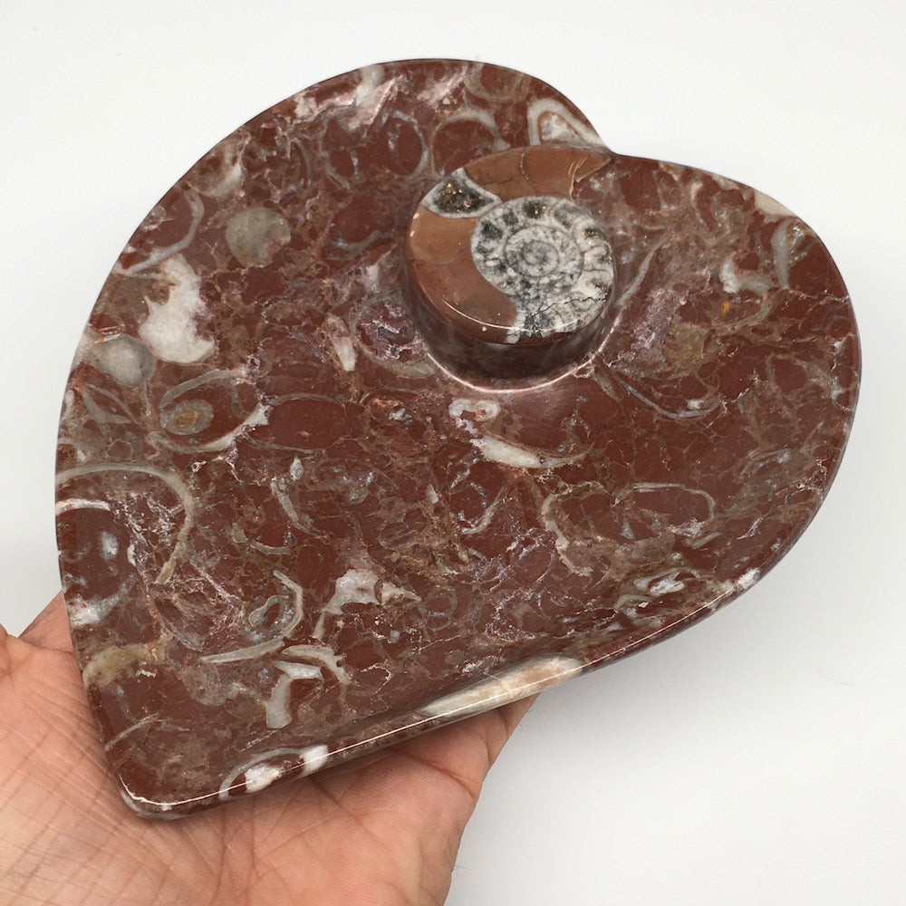 2pcs,6.25"x5.2" Ammonite Fossils Heart Plates Dishes Red Marble @Morocco,MF1356