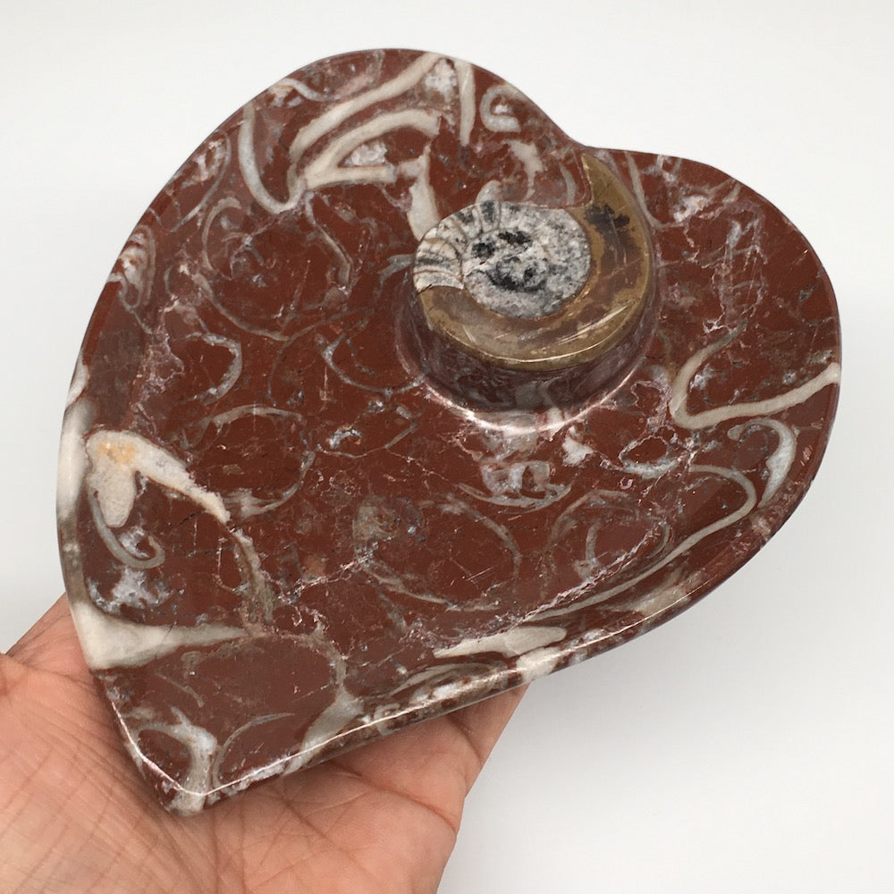 2pcs,6.25"x5.2" Ammonite Fossils Heart Plates Dishes Red Marble @Morocco,MF1356