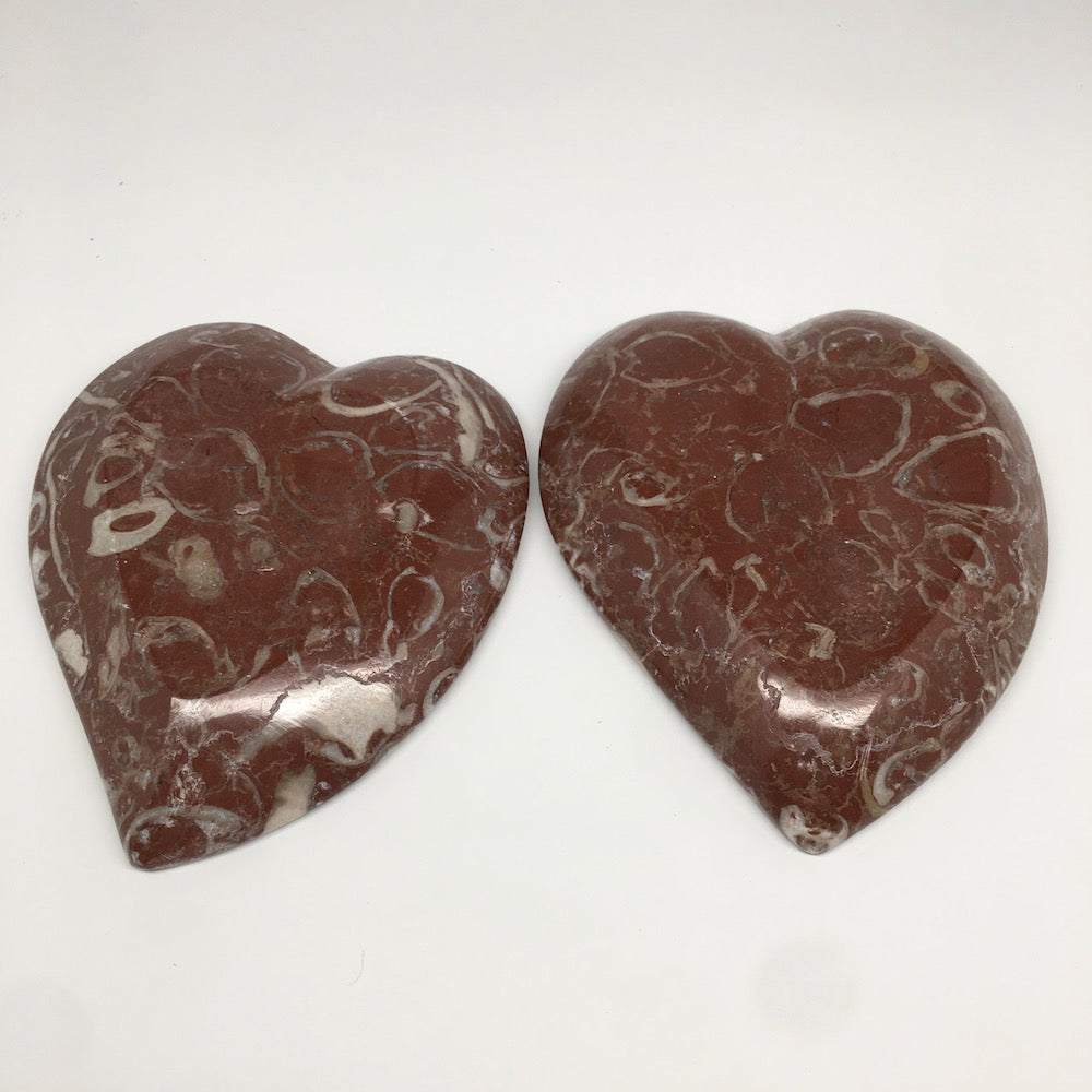 2pcs,6.25"x5.2" Ammonite Fossils Heart Plates Dishes Red Marble @Morocco,MF1356