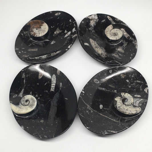 4pcs,6.25"x4.75"x5mm Oval Fossils Orthoceras Ammonite Bowls Dishes,Black, MF1382