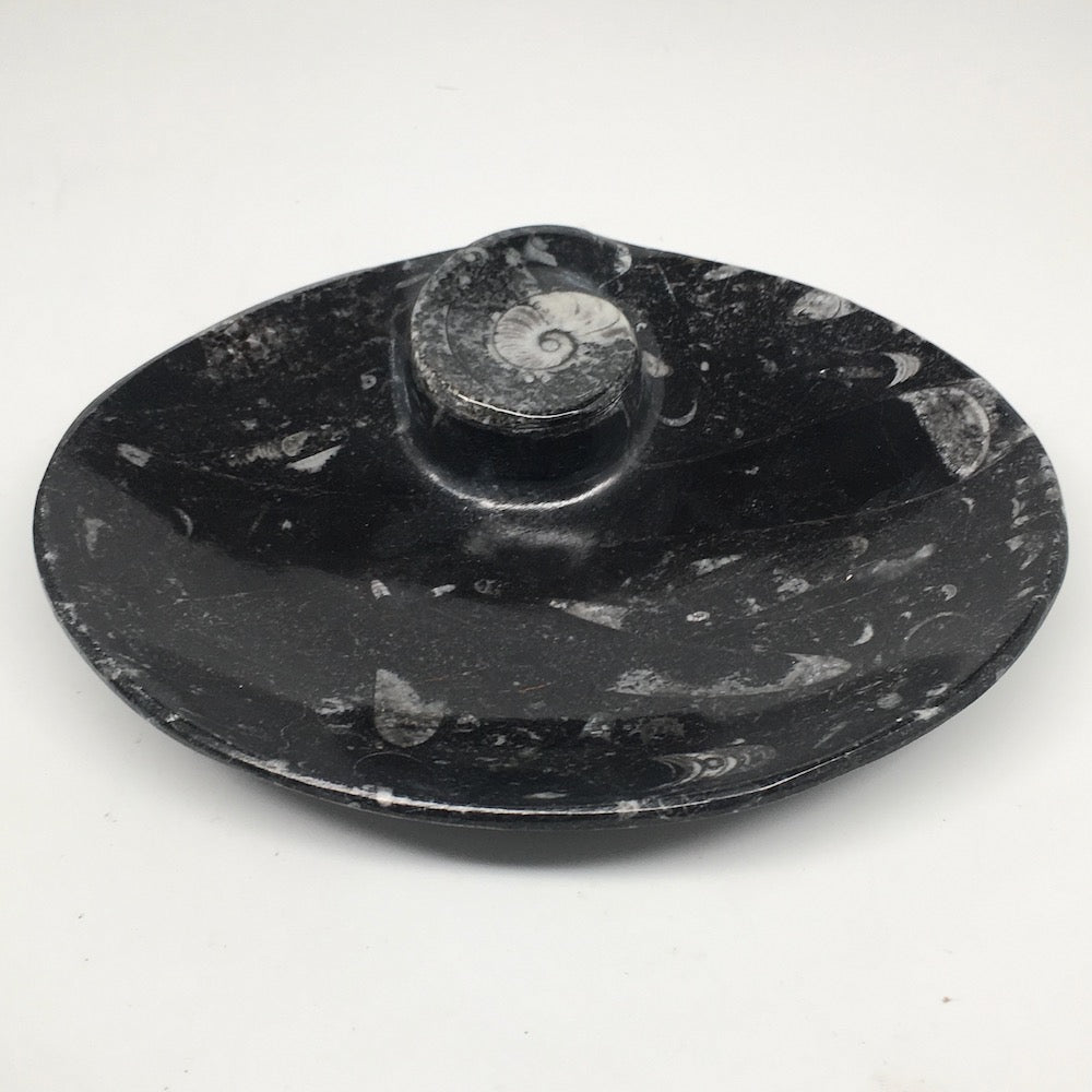 4pcs,6.25"x4.75"x5mm Oval Fossils Orthoceras Ammonite Bowls Dishes,Black, MF1383