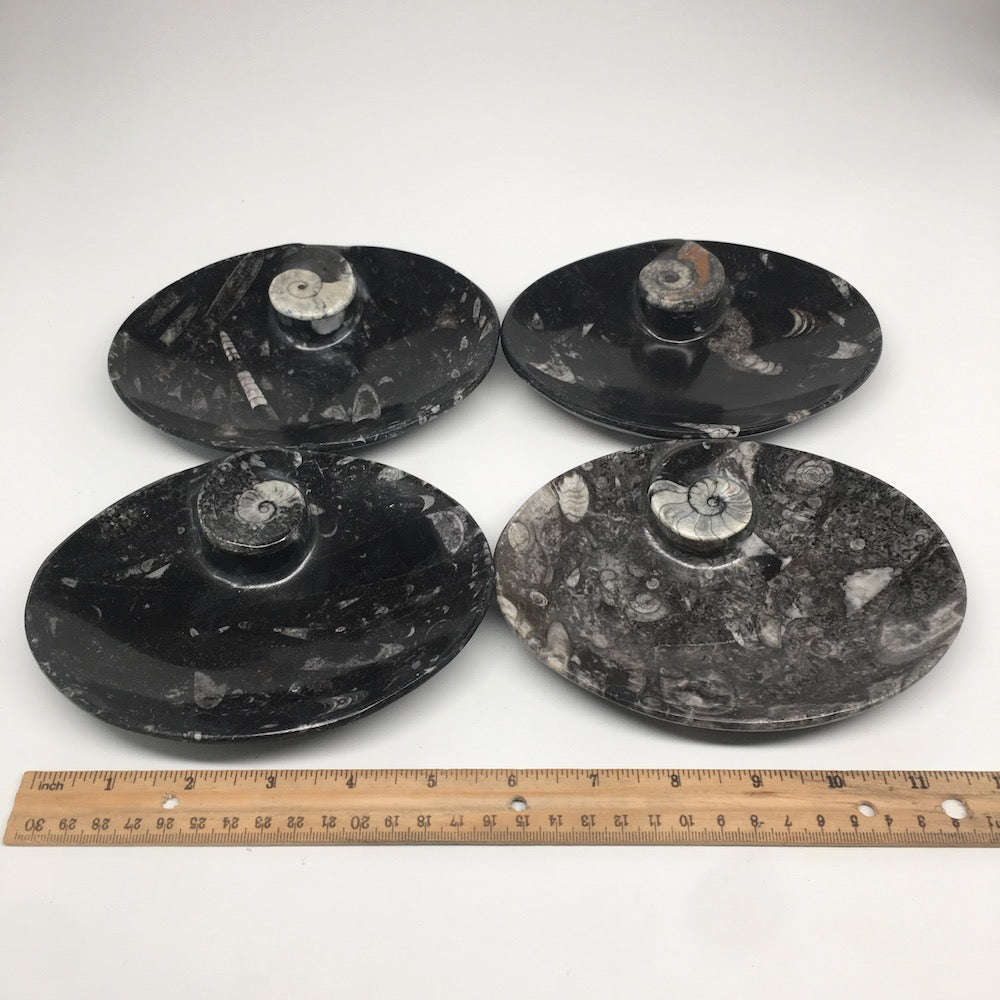 4pcs,6.25"x4.75"x5mm Oval Fossils Orthoceras Ammonite Bowls Dishes,Black, MF1383