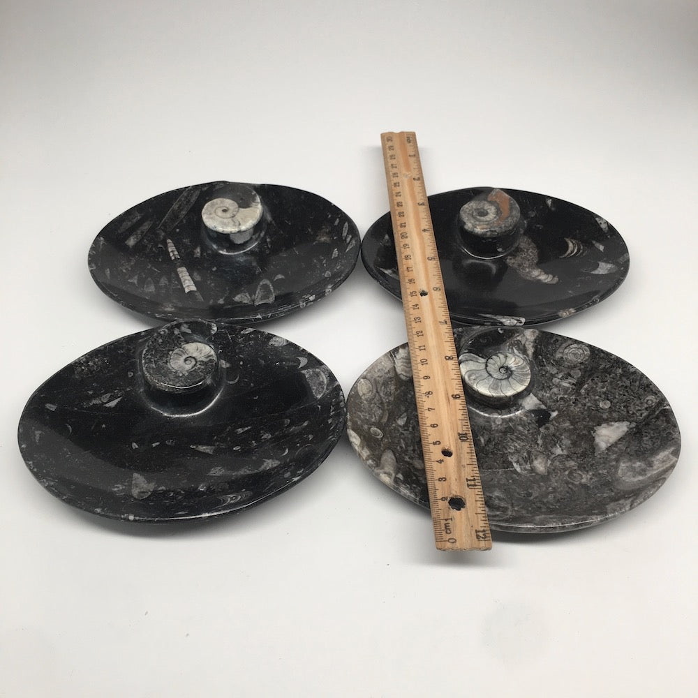 4pcs,6.25"x4.75"x5mm Oval Fossils Orthoceras Ammonite Bowls Dishes,Black, MF1383