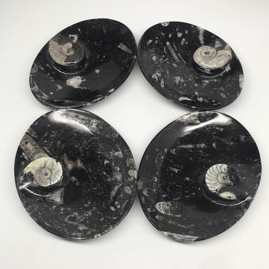 4pcs,6.25"x4.75"x5mm Oval Fossils Orthoceras Ammonite Bowls Dishes,Black, MF1384