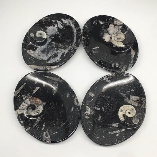 4pcs,6.25"x4.75"x5mm Oval Fossils Orthoceras Ammonite Bowls Dishes,Black, MF1385