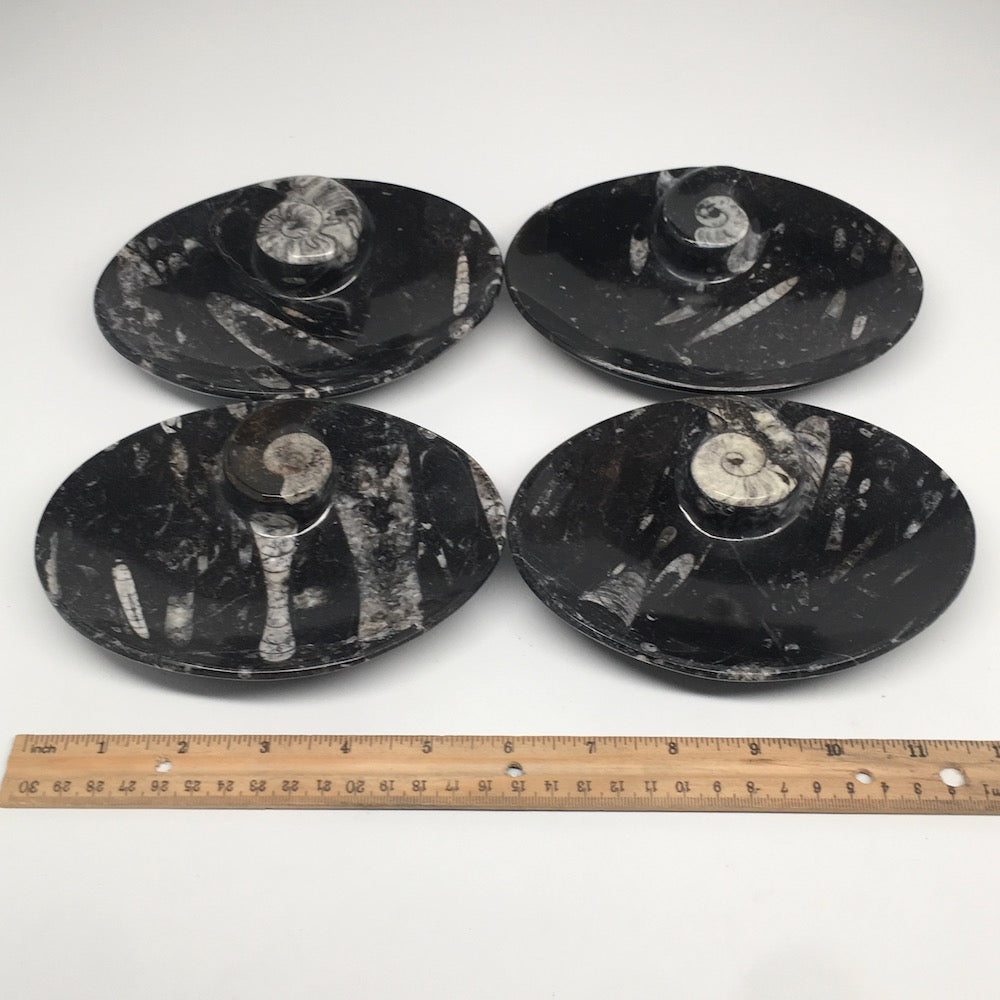 4pcs,6.25"x4.75"x5mm Oval Fossils Orthoceras Ammonite Bowls Dishes,Black, MF1389