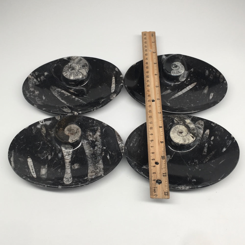 4pcs,6.25"x4.75"x5mm Oval Fossils Orthoceras Ammonite Bowls Dishes,Black, MF1389