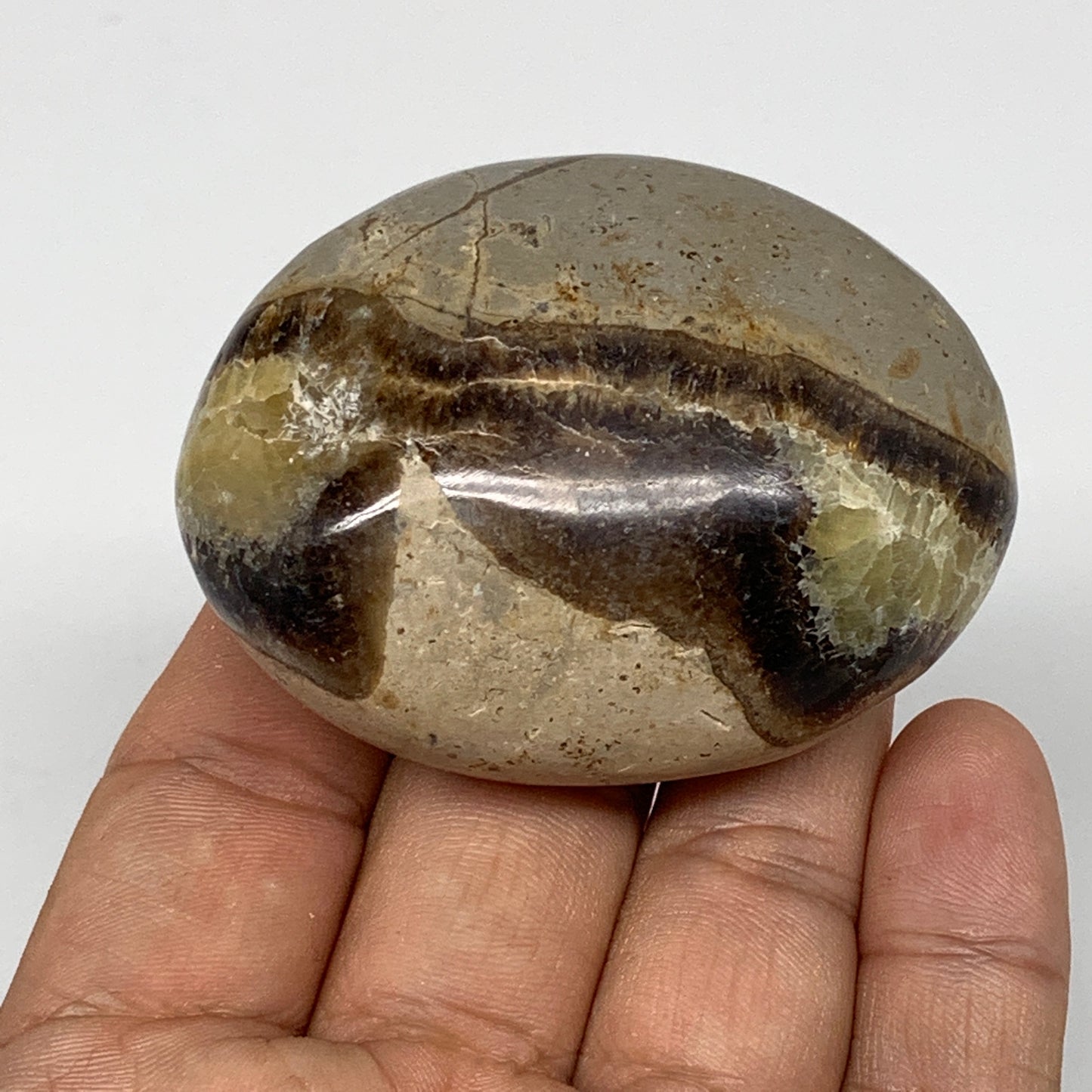 101.7g,2.3"x1.8"x1.1" Septarian Nodule Palm-Stone Polished Reiki Madagascar,B505