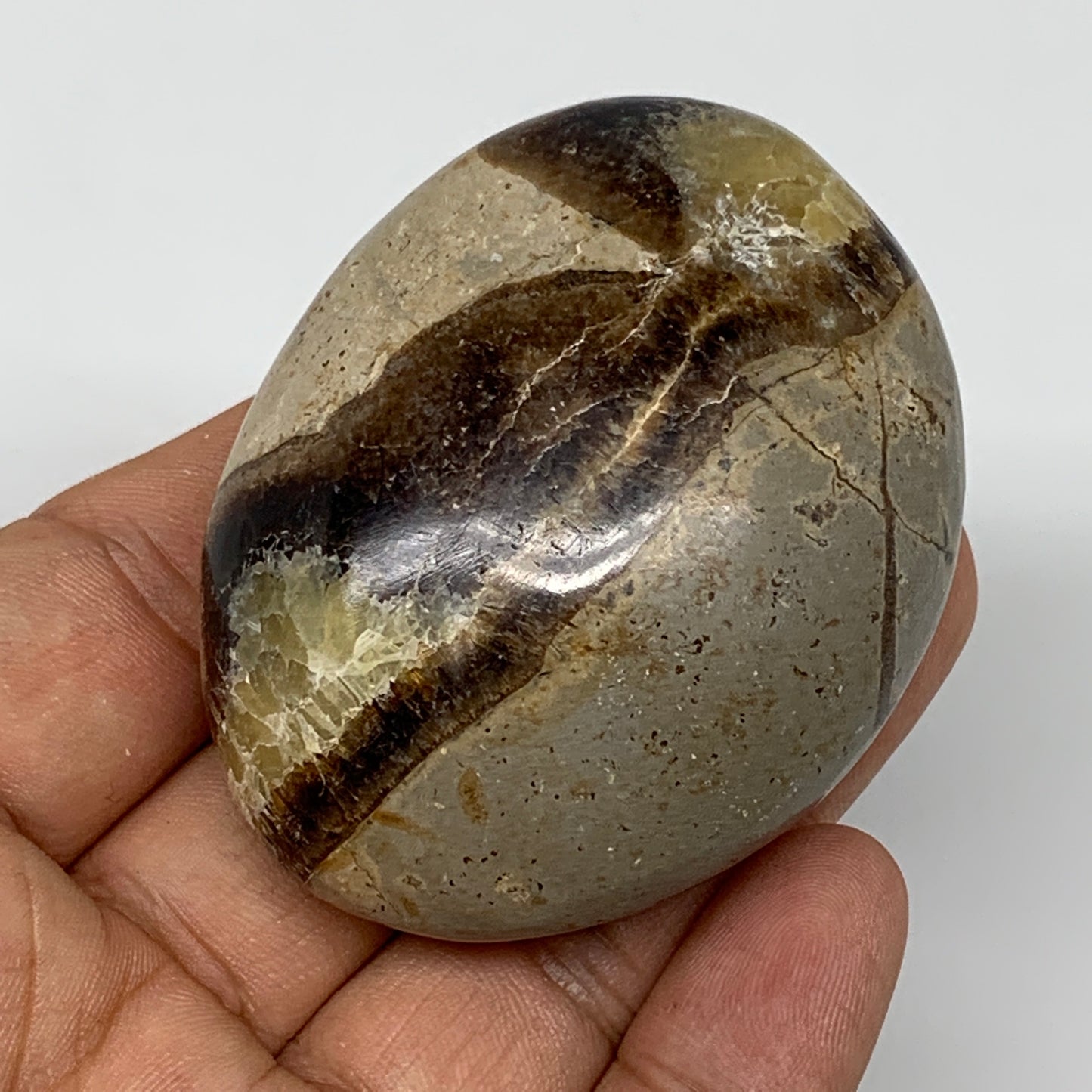 101.7g,2.3"x1.8"x1.1" Septarian Nodule Palm-Stone Polished Reiki Madagascar,B505