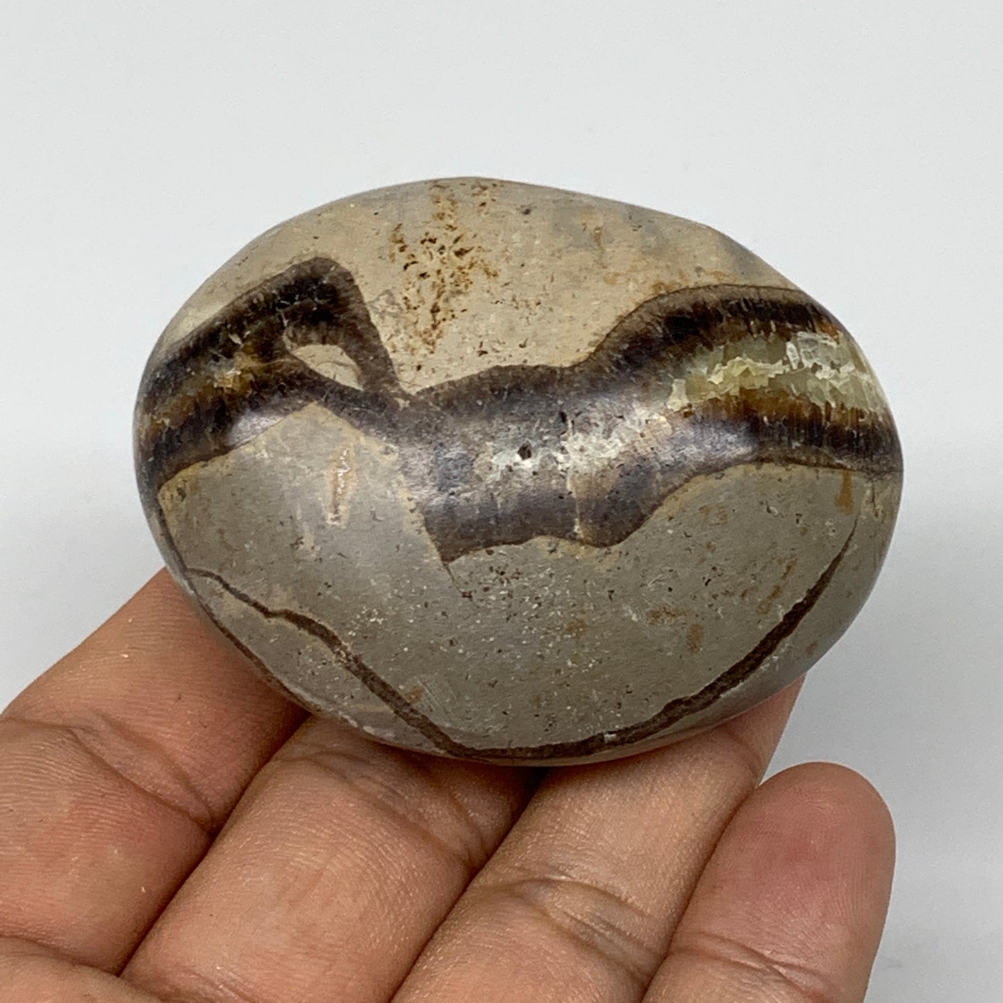 101.7g,2.3"x1.8"x1.1" Septarian Nodule Palm-Stone Polished Reiki Madagascar,B505