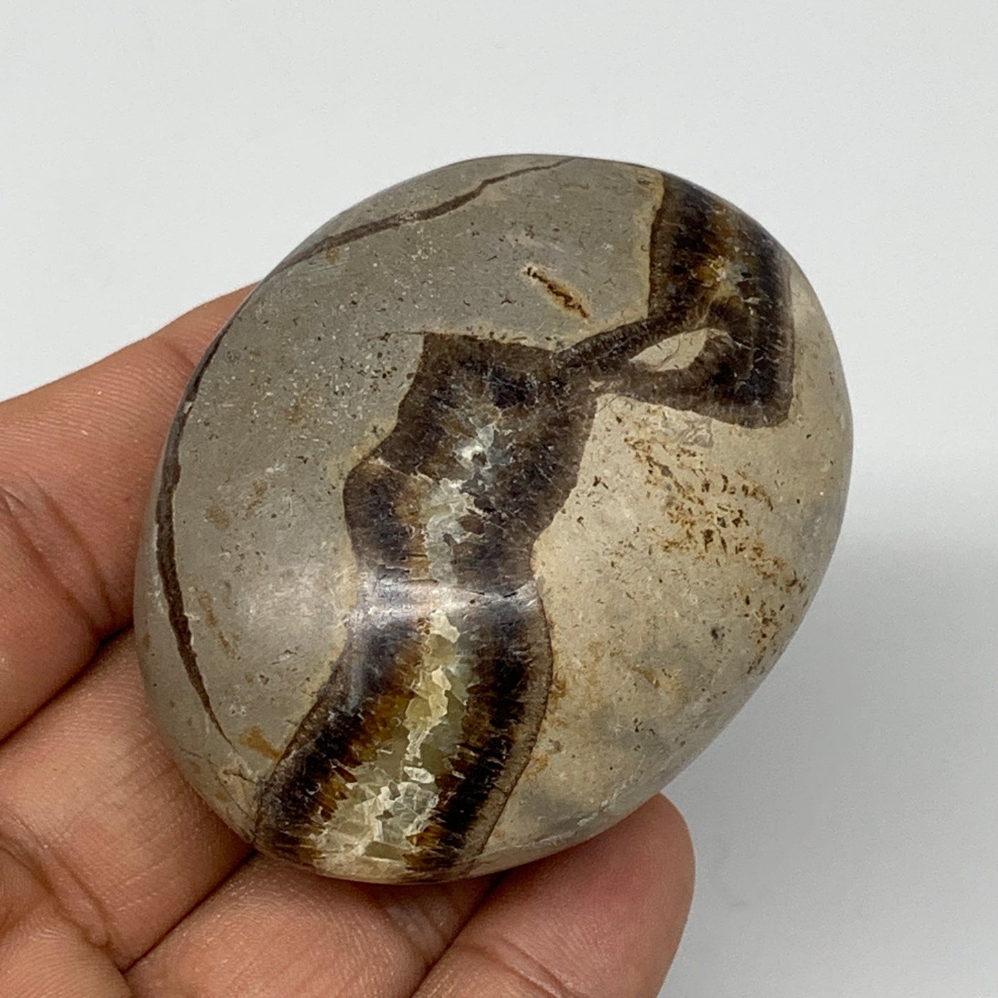 101.7g,2.3"x1.8"x1.1" Septarian Nodule Palm-Stone Polished Reiki Madagascar,B505