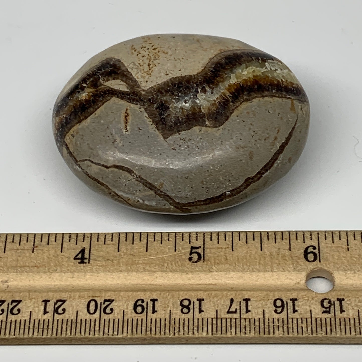 101.7g,2.3"x1.8"x1.1" Septarian Nodule Palm-Stone Polished Reiki Madagascar,B505