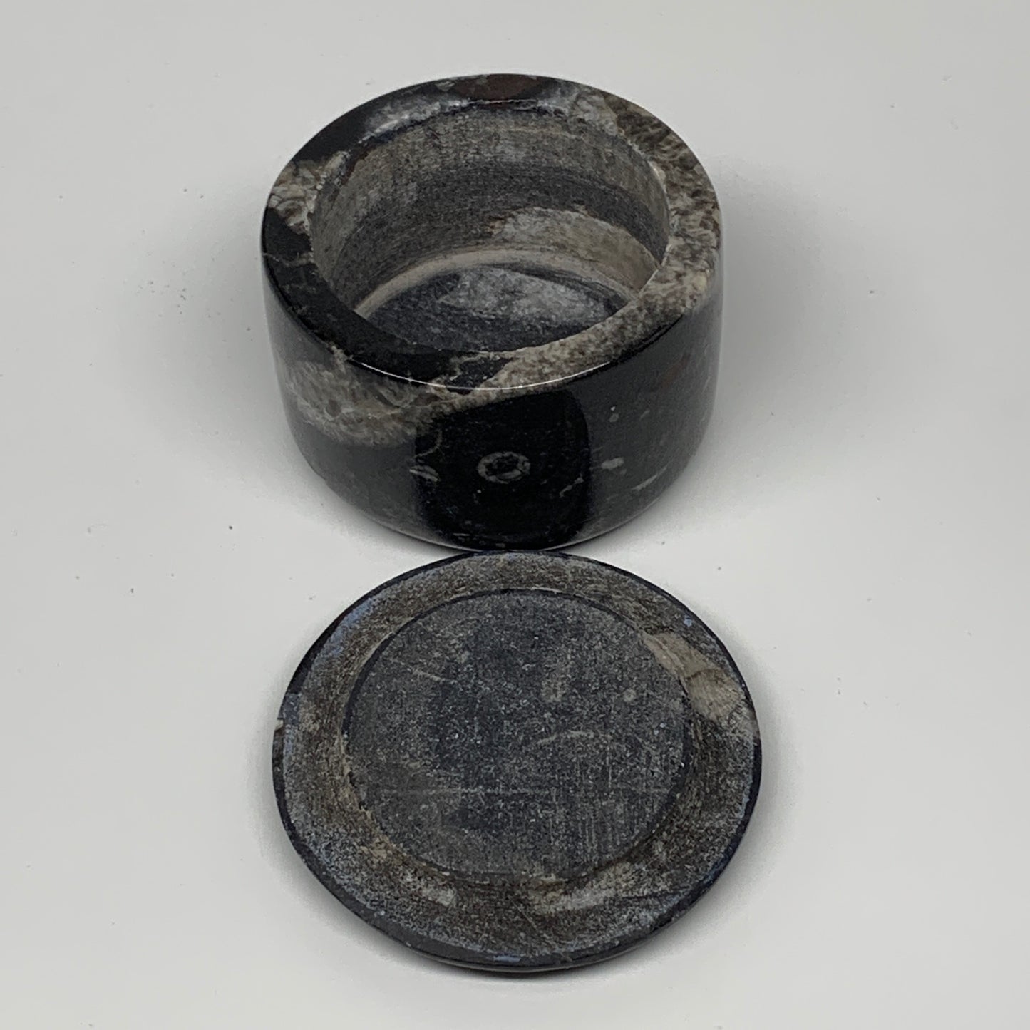 231.1g, 1.8"x2.6" Black Fossils Ammonite Orthoceras Jewelry Box @Morocco,F2363