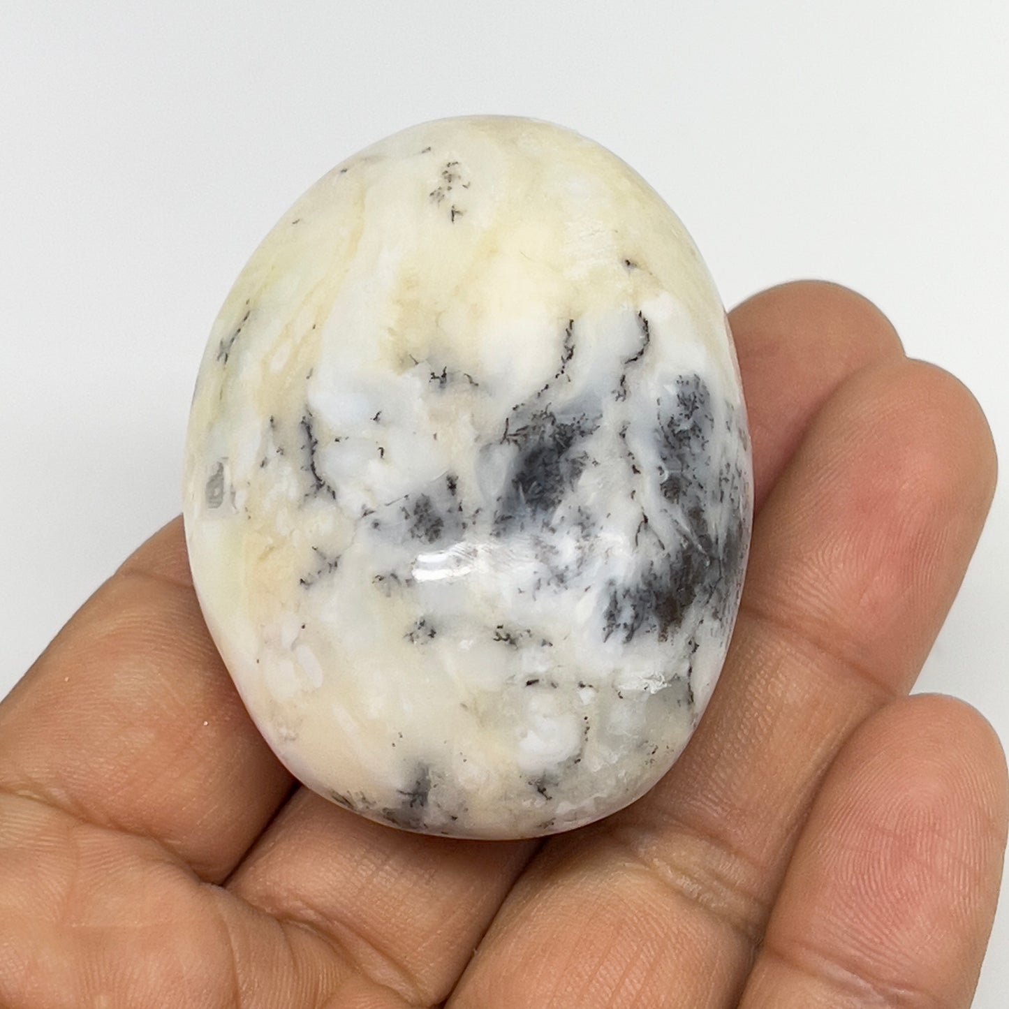 68.5g, 2.1"x1.6"x1.1" Dendrite Opal Palm-Stone Reiki Energy Crystal, B19983