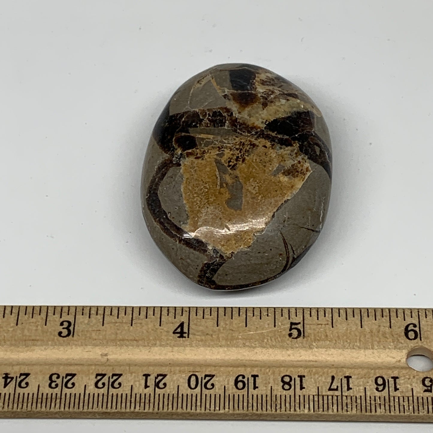 93.4g,2.5"x1.7"x0.9" Septarian Nodule Palm-Stone Polished Reiki Madagascar,B5103