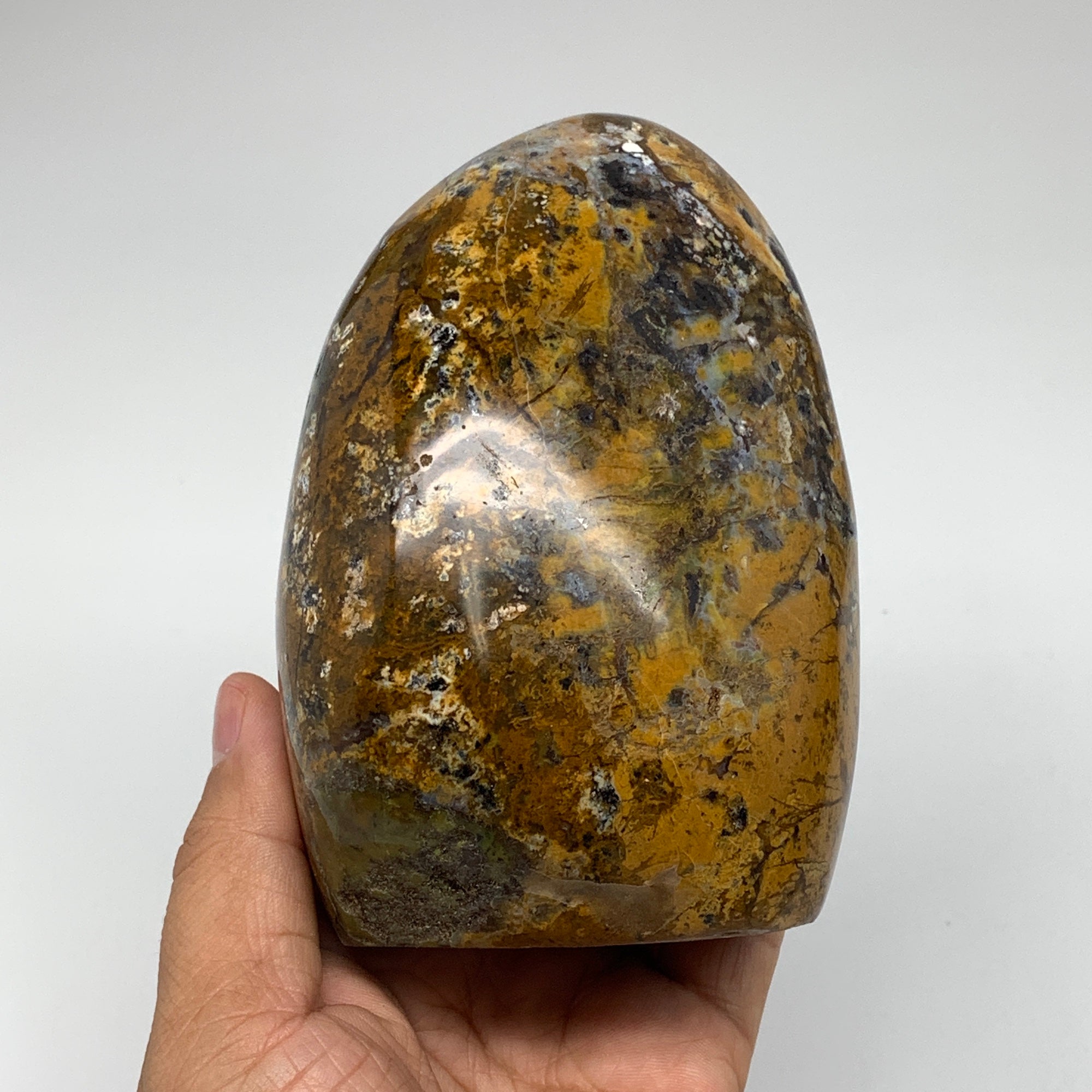 Ocean store Jasper free form