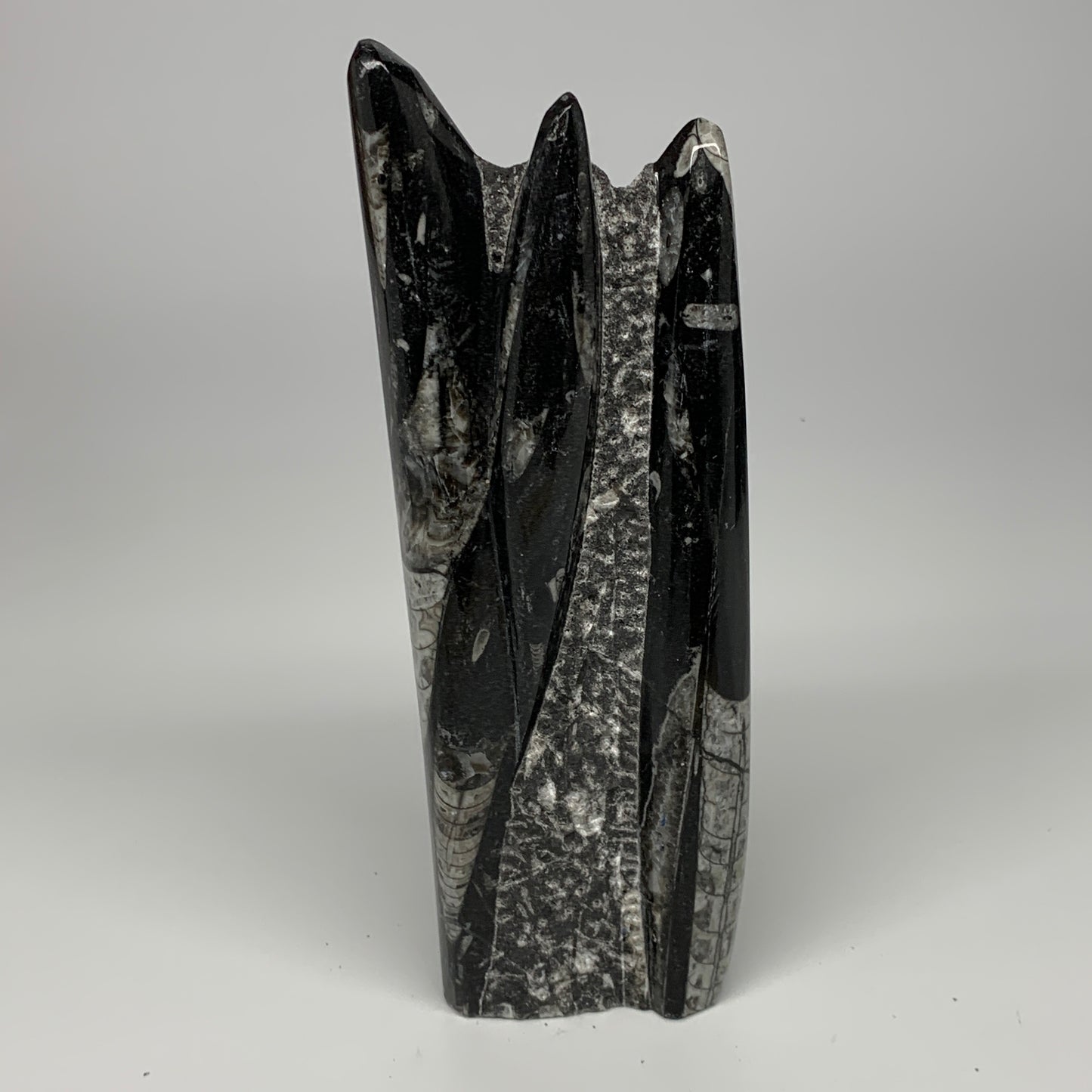 1210g, 6.9"x3.1"2.3" Black Fossils Orthoceras Sculpture Tower @Morocco, B23409