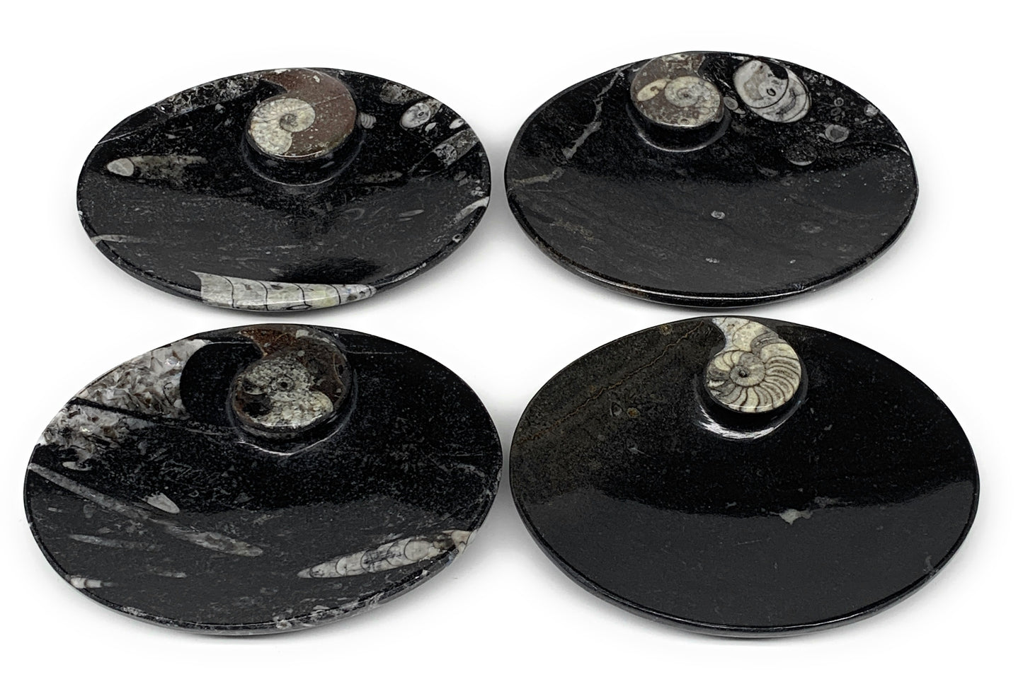 694g, 4pcs, 4.7"x3.8" Small Black Fossils Ammonite Orthoceras Bowl Oval Ring,B88