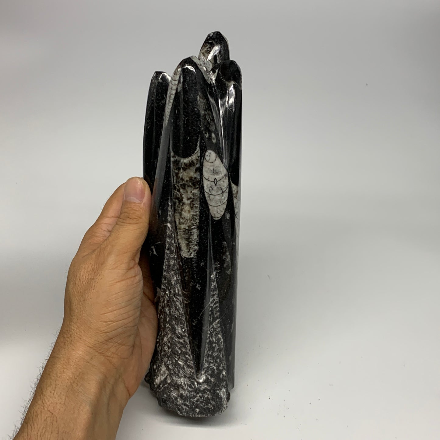 1295g, 8.75"x2.8"x2.2" Black Fossils Orthoceras Sculpture Tower @Morocco, B23424
