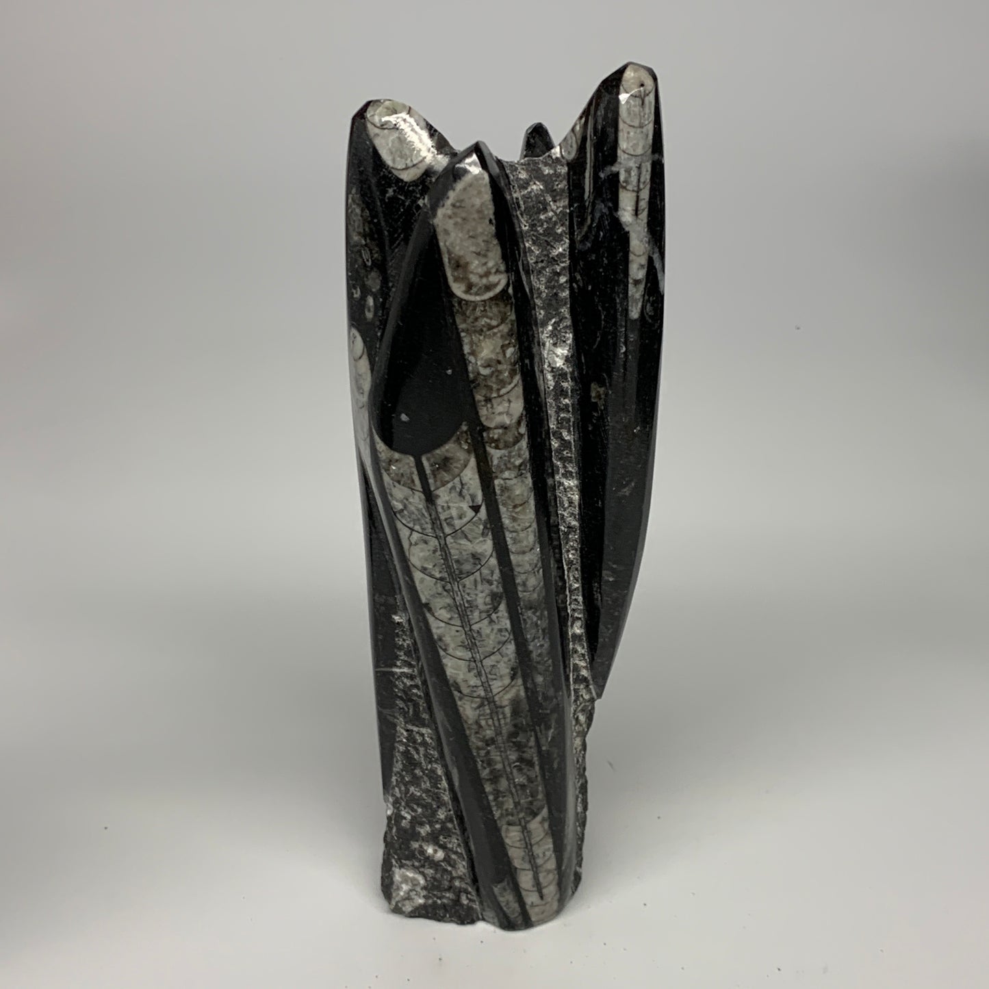 1295g, 8.75"x2.8"x2.2" Black Fossils Orthoceras Sculpture Tower @Morocco, B23424
