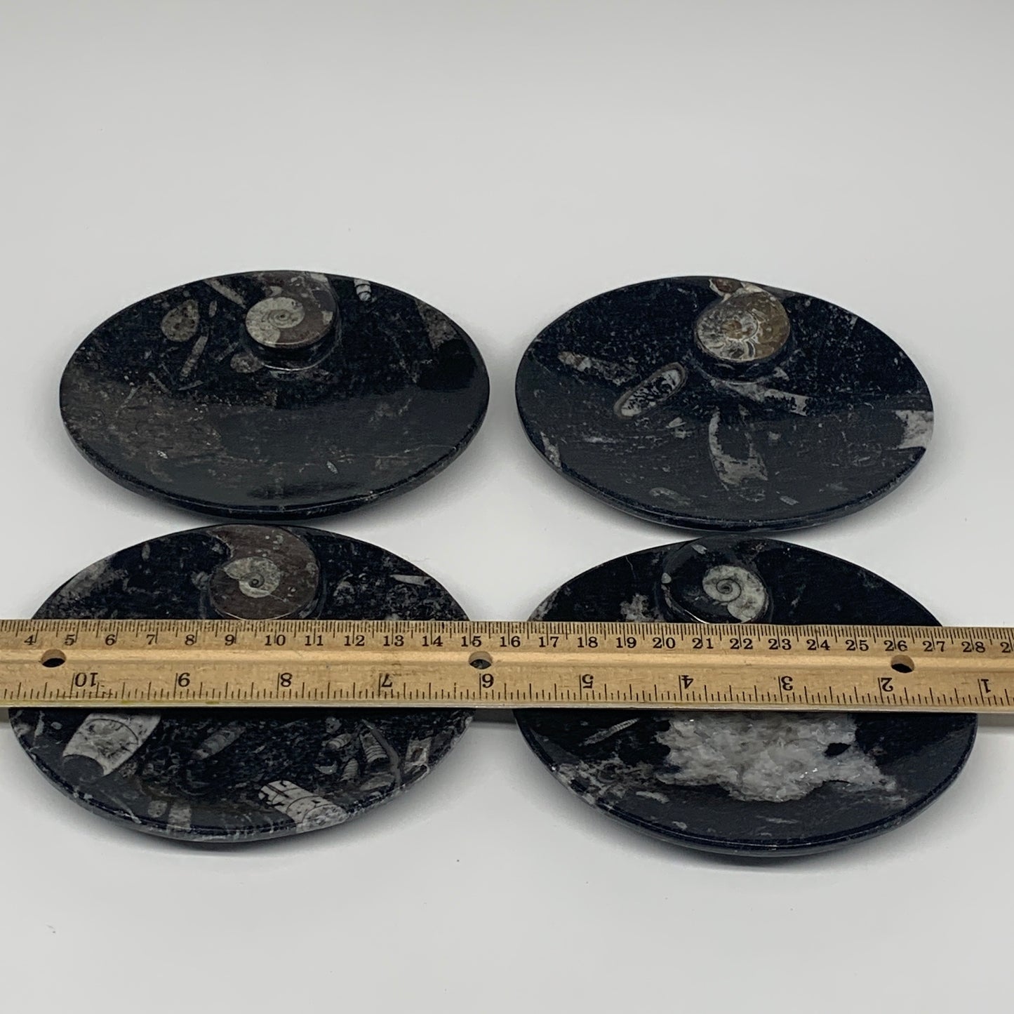 732g, 4pcs, 4.7"x3.8" Small Black Fossils Ammonite Orthoceras Bowl Oval Ring,B88