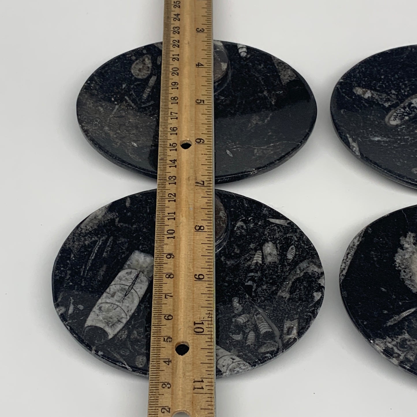 732g, 4pcs, 4.7"x3.8" Small Black Fossils Ammonite Orthoceras Bowl Oval Ring,B88