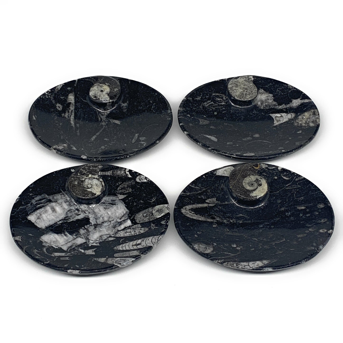 744g, 4pcs, 4.7"x3.8" Small Black Fossils Ammonite Orthoceras Bowl Oval Ring,B88