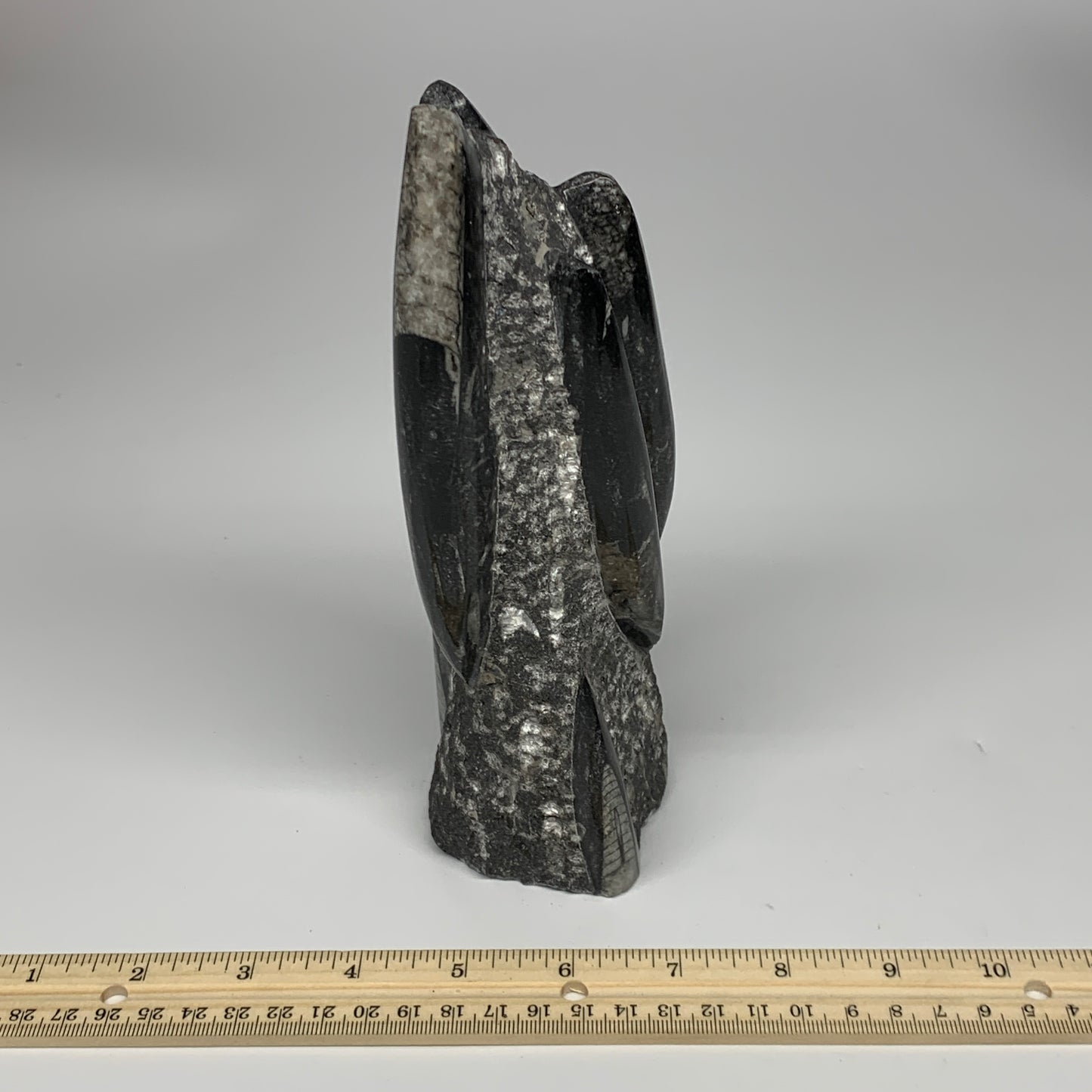1240g, 8"x2.9"x2.7" Black Fossils Orthoceras Sculpture Tower @Morocco, B23429