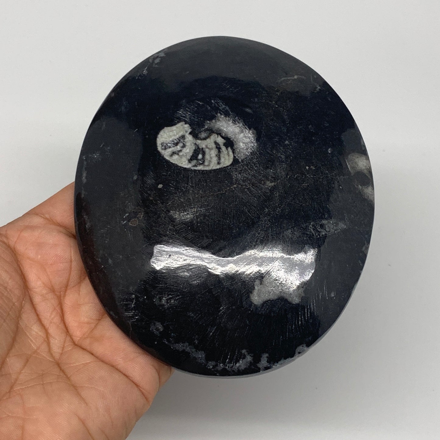 758g, 4pcs, 4.7"x3.8" Small Black Fossils Ammonite Orthoceras Bowl Oval Ring,B88