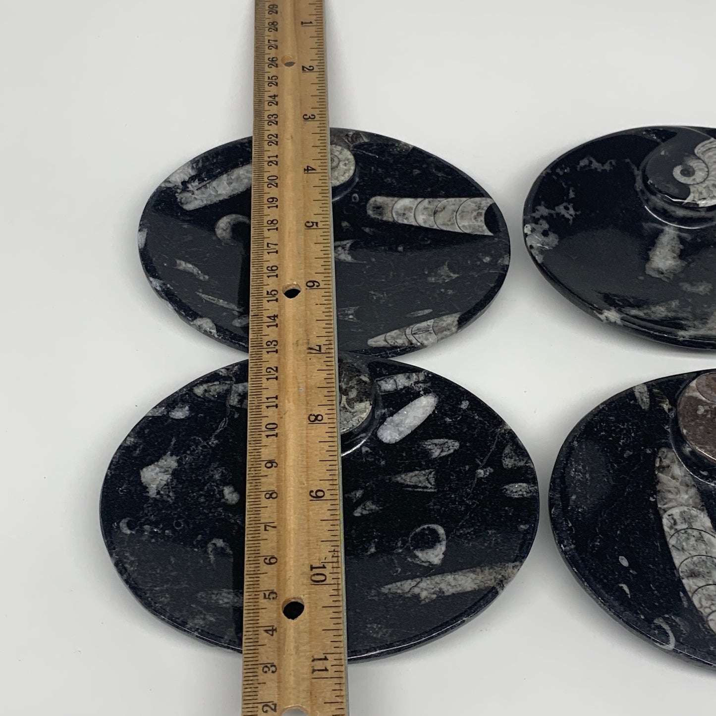 758g, 4pcs, 4.7"x3.8" Small Black Fossils Ammonite Orthoceras Bowl Oval Ring,B88