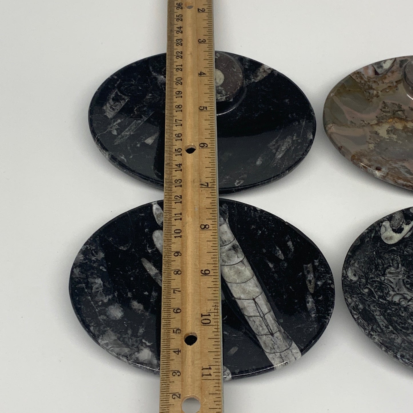 762g, 4pcs, 4.7"x3.8" Small Fossils Ammonite Orthoceras Bowl Oval Ring,B8857