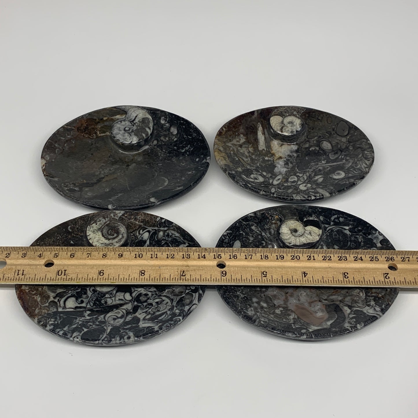 736g, 4pcs, 4.7"x3.8" Small Fossils Ammonite Orthoceras Bowl Oval Ring,B8859