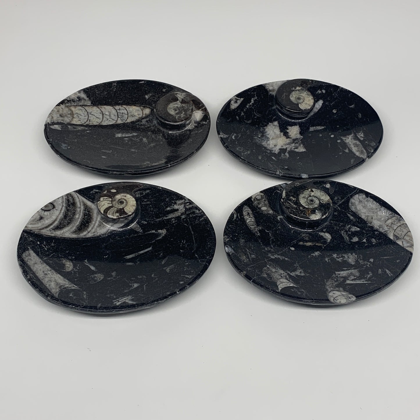 726g, 4pcs, 4.7"x3.8" Small Fossils Ammonite Orthoceras Bowl Oval Ring,B8861