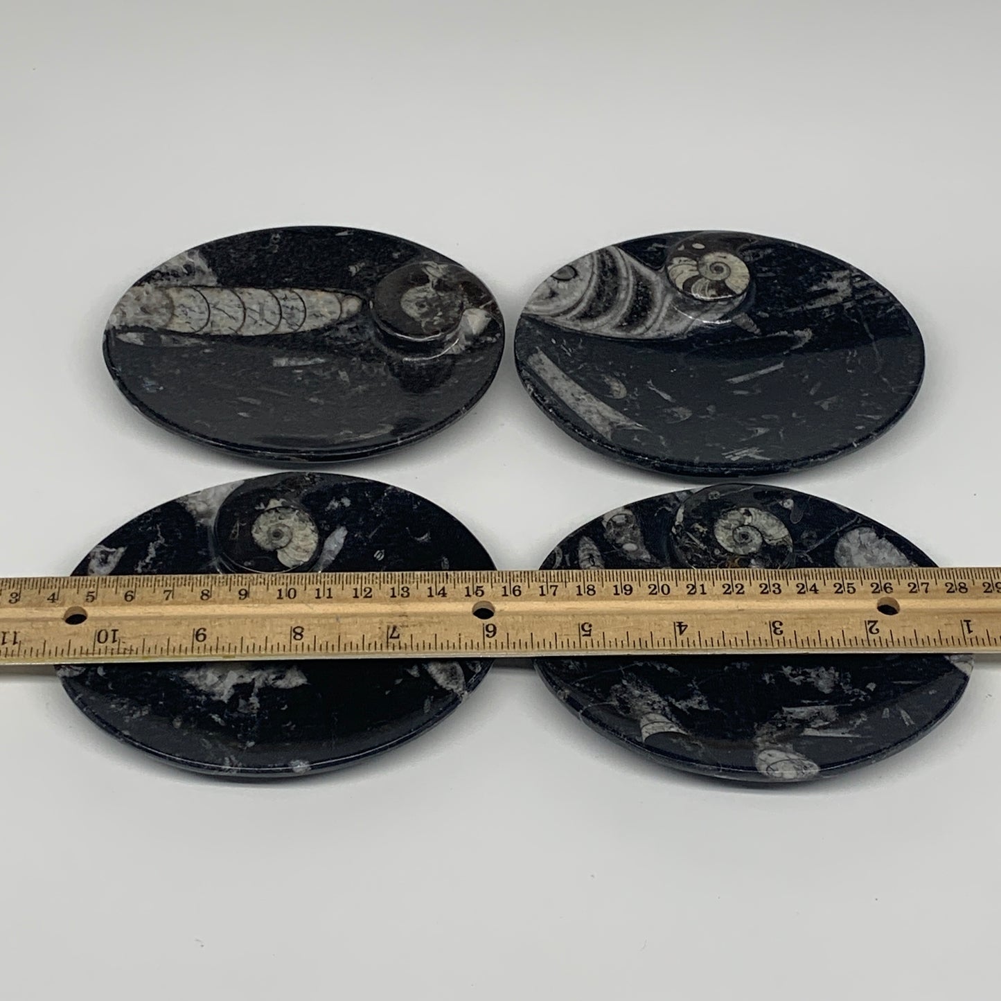 726g, 4pcs, 4.7"x3.8" Small Fossils Ammonite Orthoceras Bowl Oval Ring,B8861