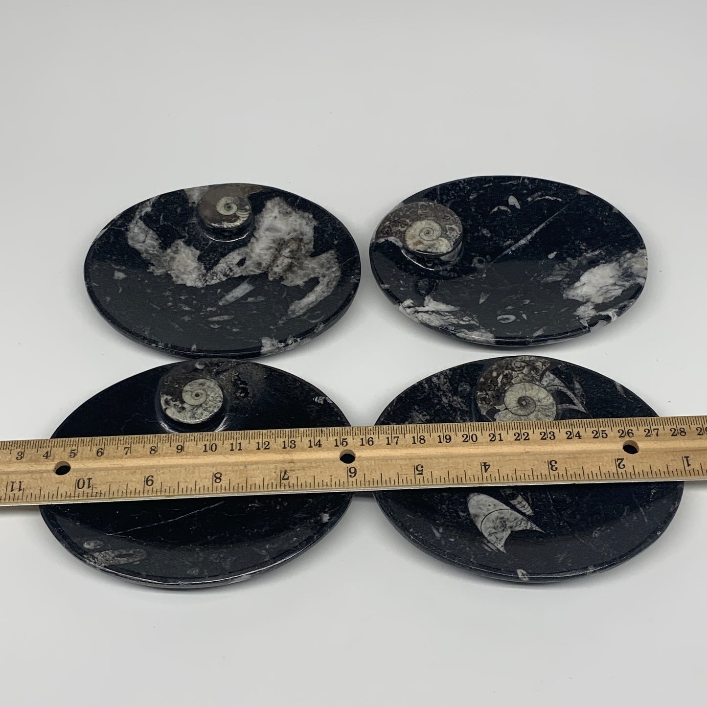 734g, 4pcs, 4.7"x3.8" Small Fossils Ammonite Orthoceras Bowl Oval Ring,B8862
