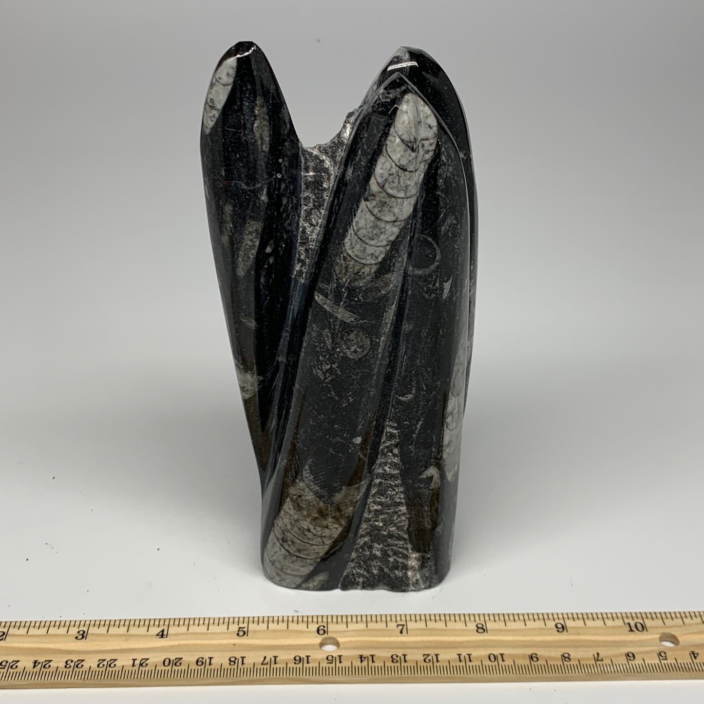 1240g, 7.2"x3.4"x2.4" Black Fossils Orthoceras Sculpture Tower @Morocco, B23445