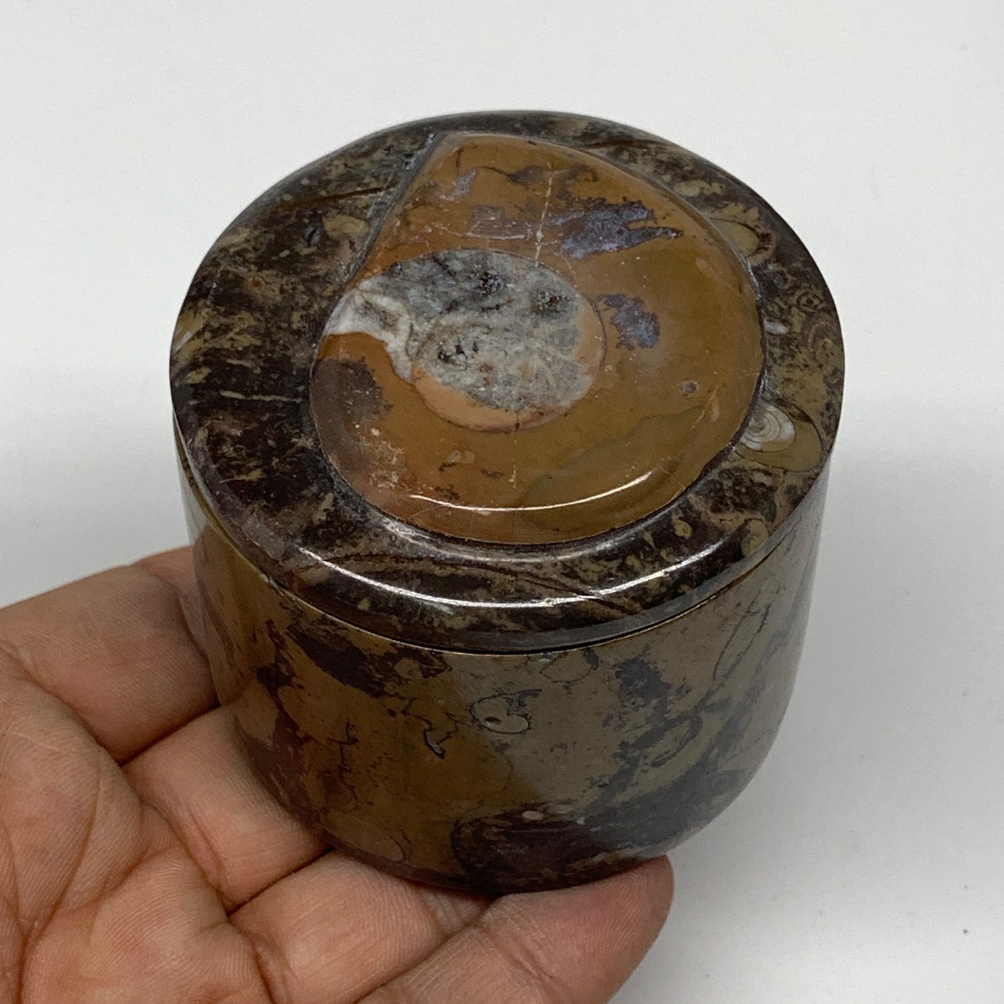 216.6g, 2.1"x2.4" Brown Fossils Ammonite Orthoceras Jewelry Box @Morocco,F2463