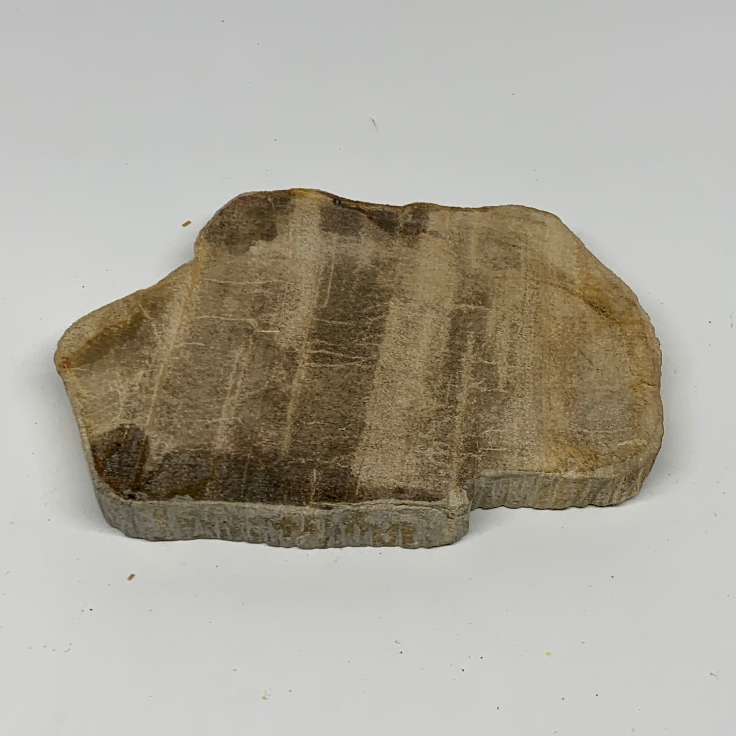 470g,6"x4.3"x0.7" Petrified Wood Slab Tree Branch Specimen, Minerals, B22695