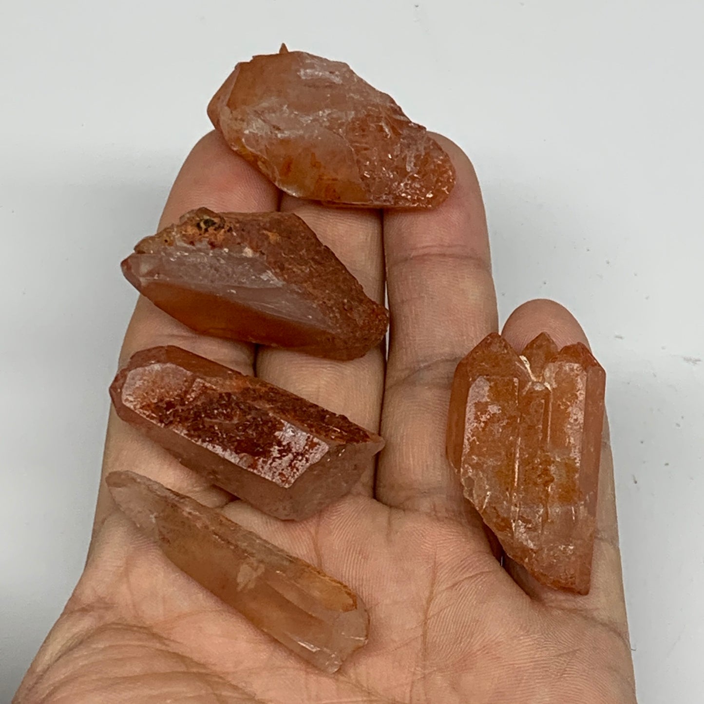 53.8g, 1.3"-1.6", 5pcs, Natural Red Quartz Crystal Terminated @Morocco, B11368