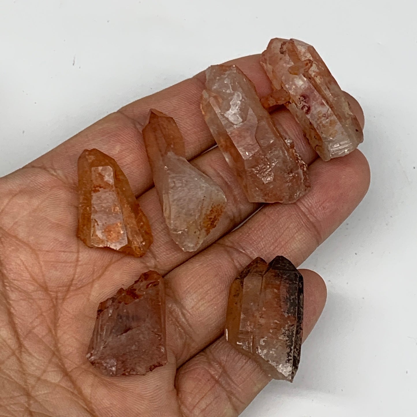 37.1g, 1"-1.5", 6pcs, Natural Red Quartz Crystal Terminated @Morocco, B11370