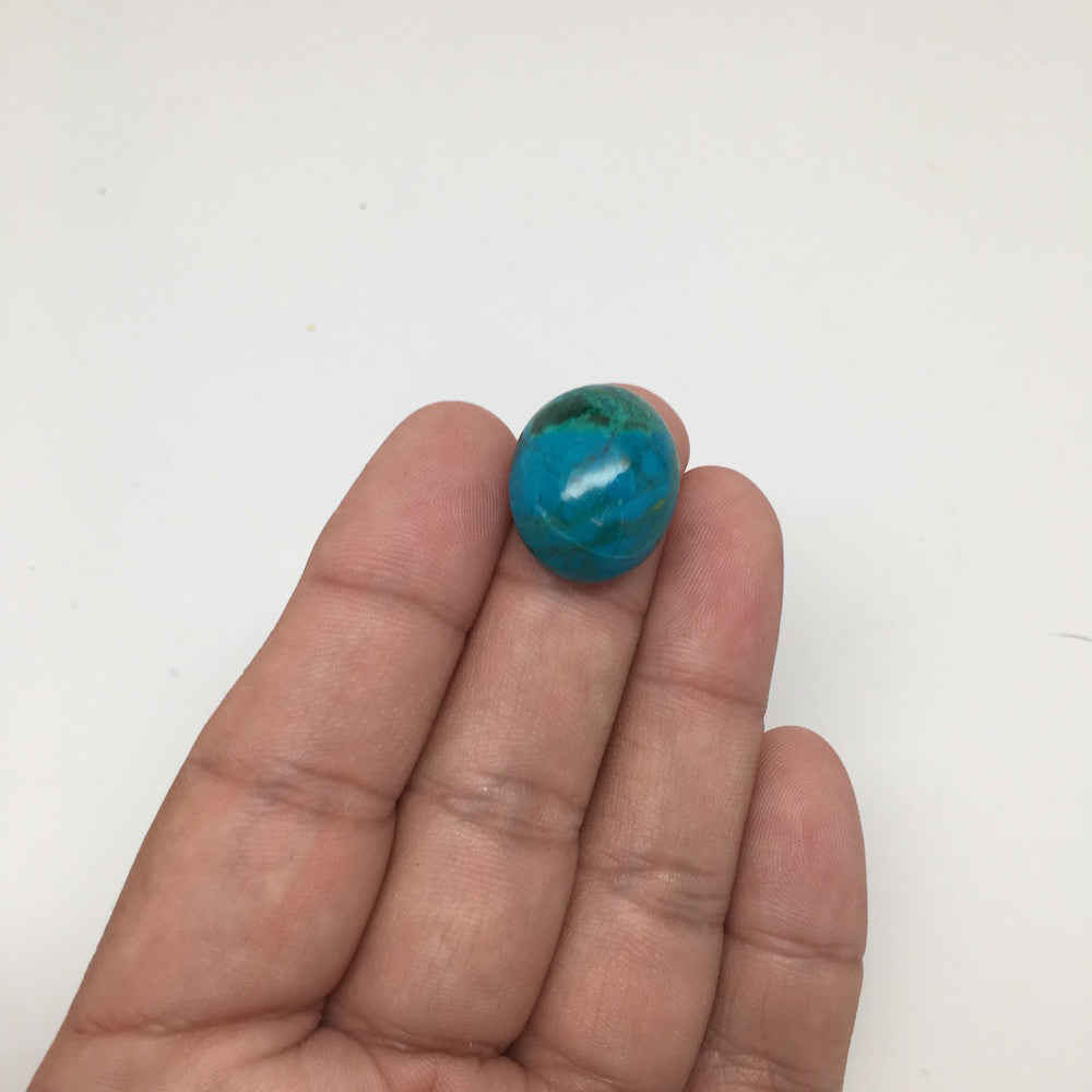 20 cts Natural Oval Shape Chrysocolla Cabochon From Mexico, CC02 - watangem.com