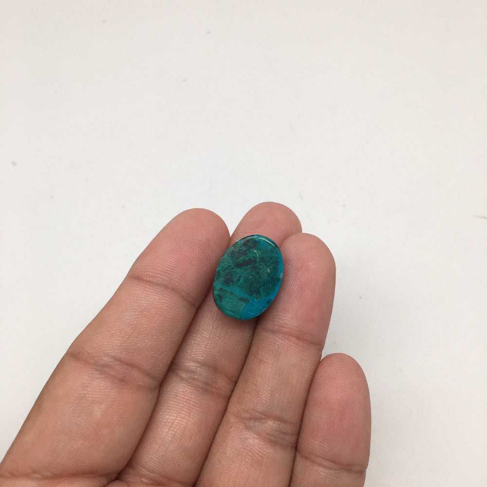 19 cts Natural Oval Shape Flat Bottom Chrysocolla Cabochon From Mexico, CC74 - watangem.com