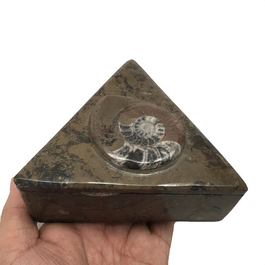 488 Grams Triangular Shape Fossil Ammonite Brown Jewelry Box from Morocco, FM397 - watangem.com