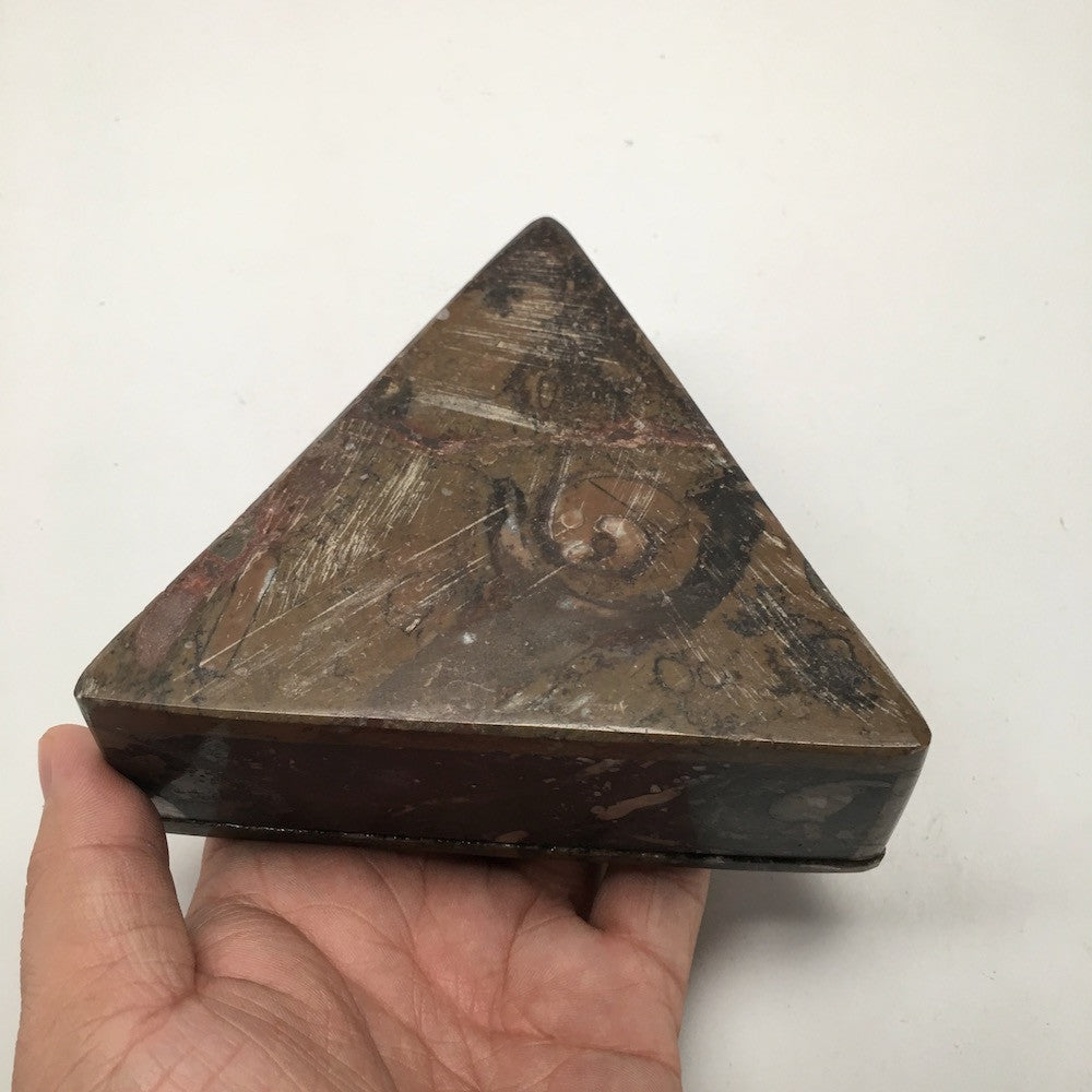 488 Grams Triangular Shape Fossil Ammonite Brown Jewelry Box from Morocco, FM397 - watangem.com